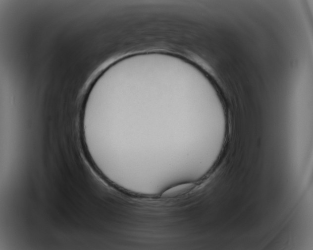 X0000084601500200703231915