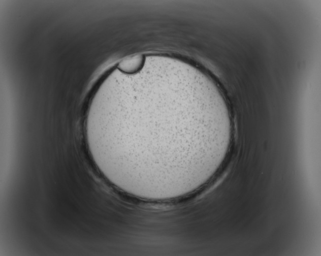 X0000084601501200703231915