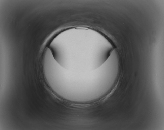 X0000084601502200703231915