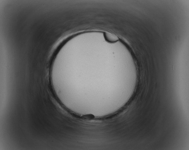 X0000084601503200703231915