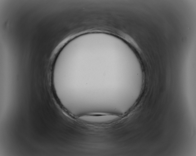 X0000084601504200703231915