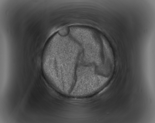 X0000084601505200703231915