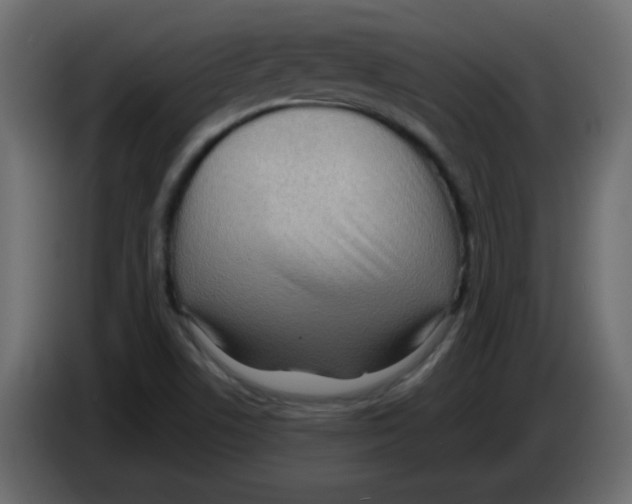 X0000084601506200703231915