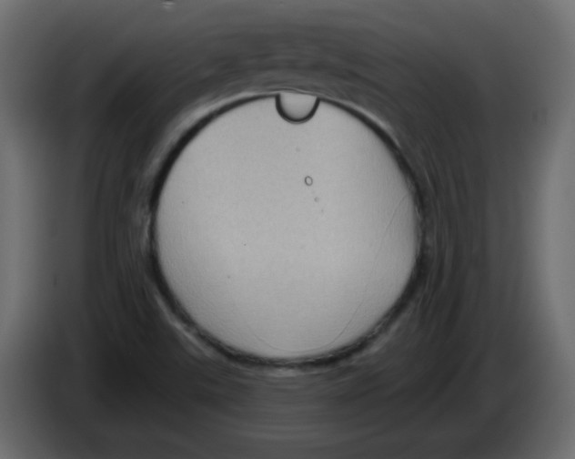 X0000084601507200703231915