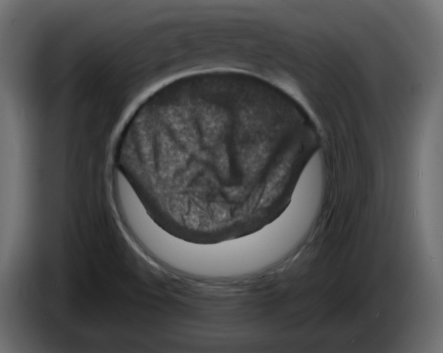 X0000084601508200703231915