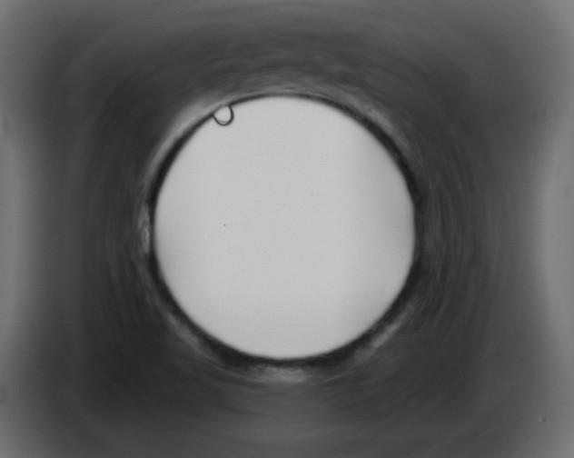 X0000084601509200703231915