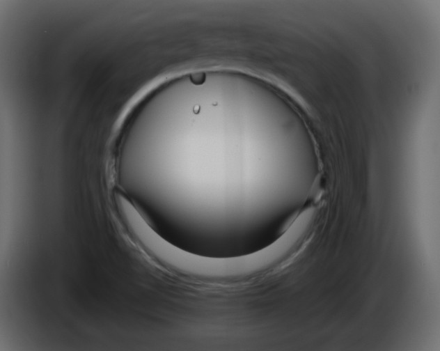 X0000084601510200703231915