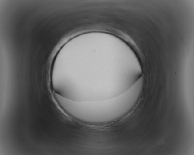 X0000084601512200703231915