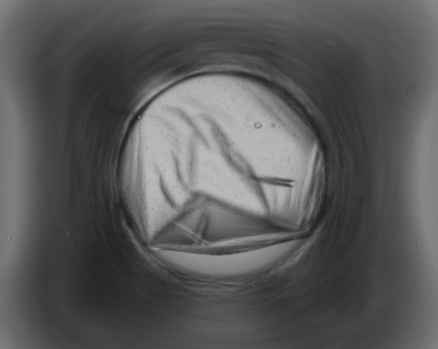 X0000084601513200703231915