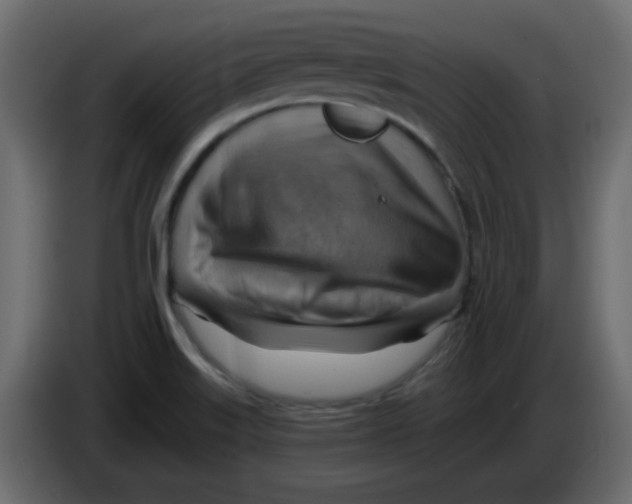 X0000084601515200703231915