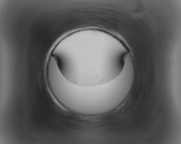 X0000084601516200703231915