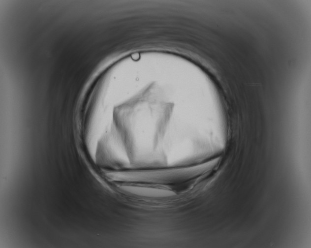 X0000084601517200703231915