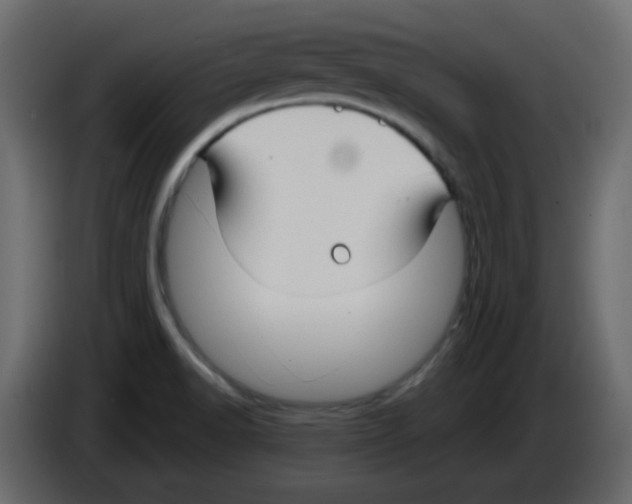 X0000084601518200703231915