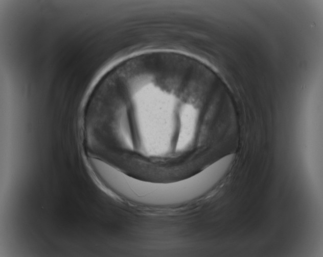 X0000084601519200703231915