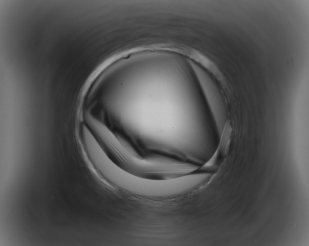 X0000084601520200703231915