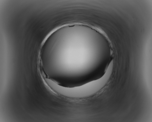 X0000084601524200703231915