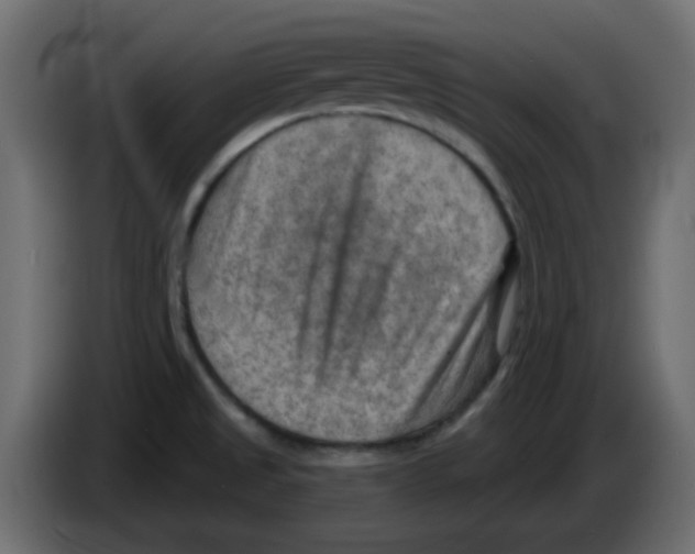 X0000084601525200703231915