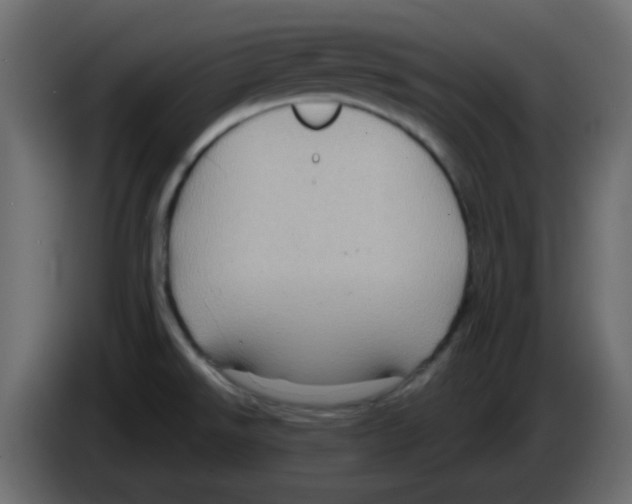 X0000084601526200703231915