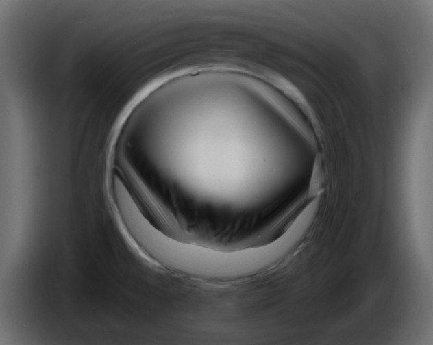 X0000084601528200703231915