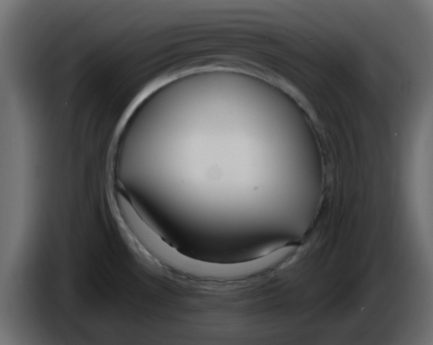 X0000084601530200703231916