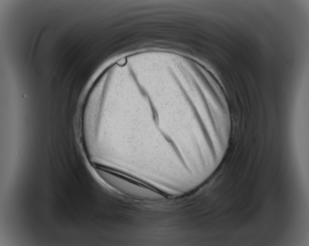 X0000084601531200703231916