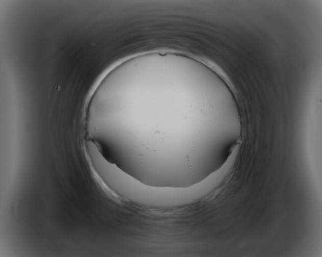 X0000084601532200703231916