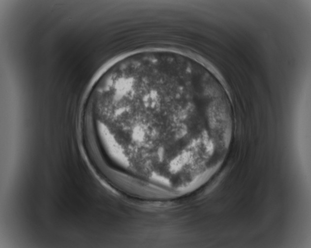 X0000084601533200703231916