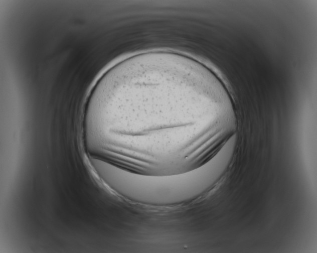 X0000084601534200703231916