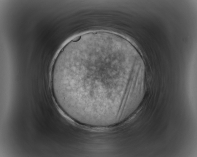 X0000084601535200703231916