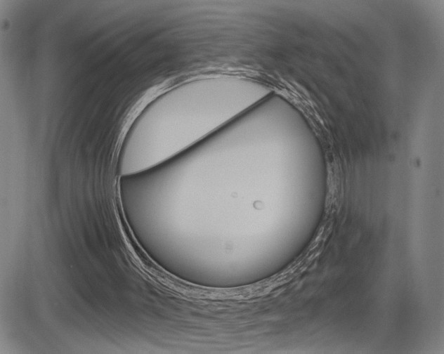 X0000085000003200703050947