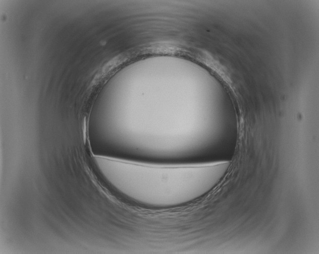 X0000085000013200703050947