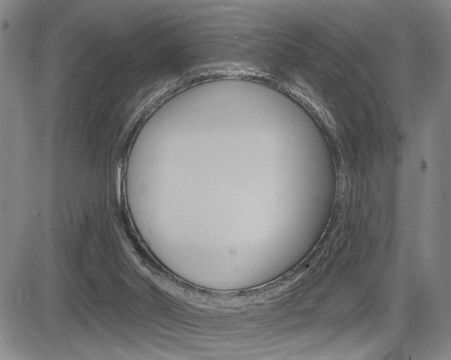 X0000085000014200703050947