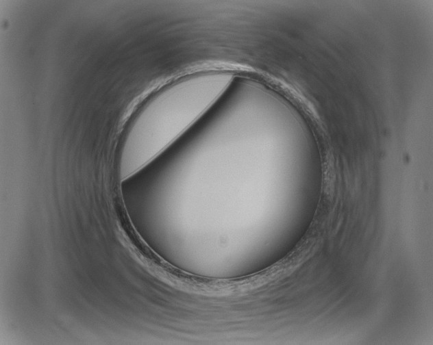 X0000085000015200703050947