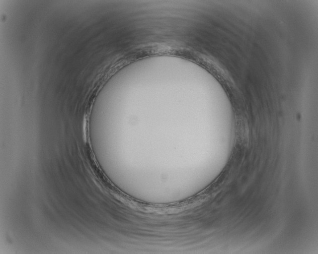 X0000085000022200703050947