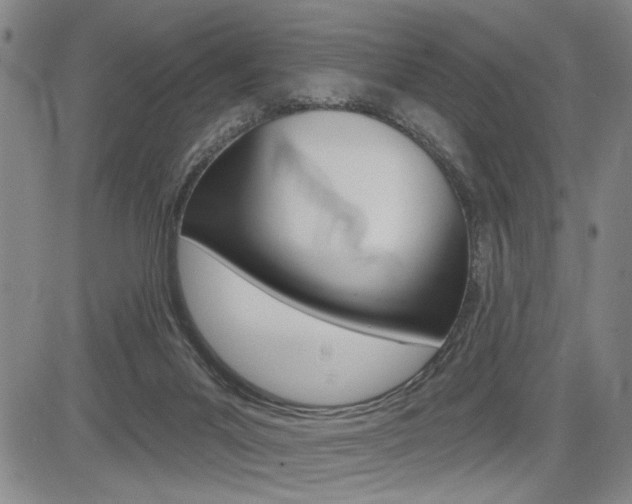 X0000085000023200703050947