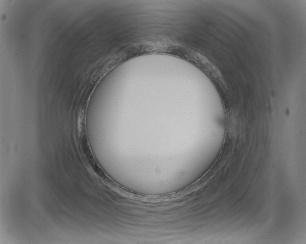 X0000085000026200703050947