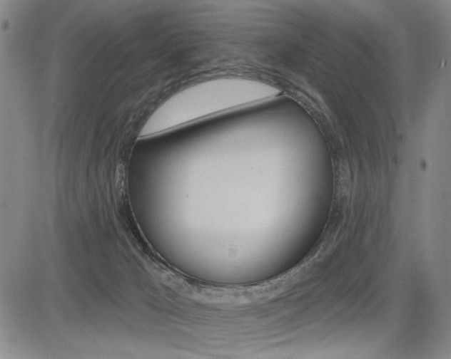 X0000085000029200703050947