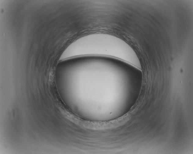X0000085000037200703050947
