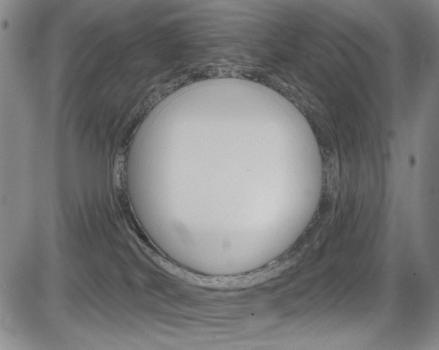 X0000085000038200703050947