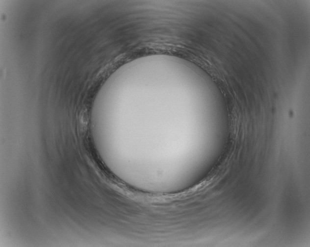 X0000085000040200703050947
