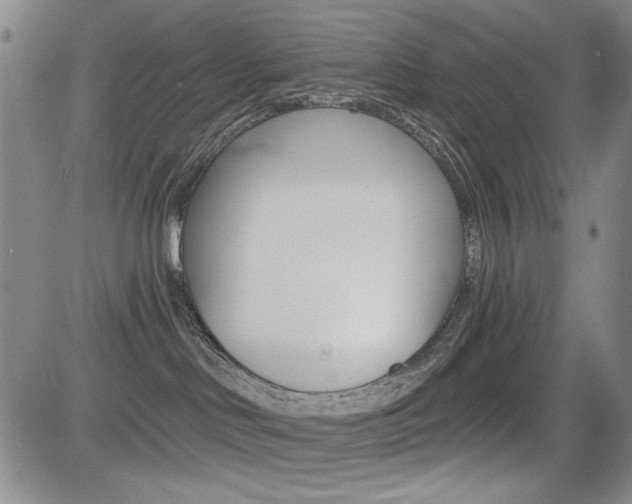 X0000085000046200703050947