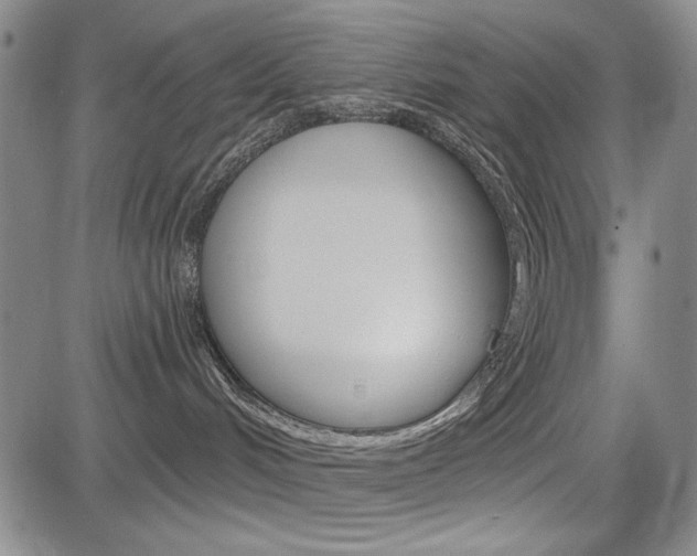 X0000085000048200703050947