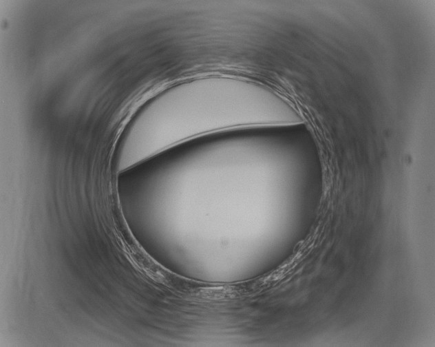 X0000085000050200703050946