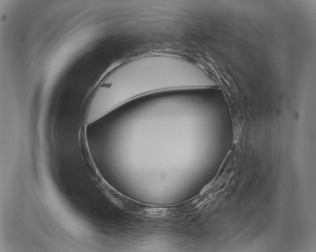 X0000085000052200703050946