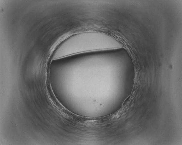 X0000085000054200703050946