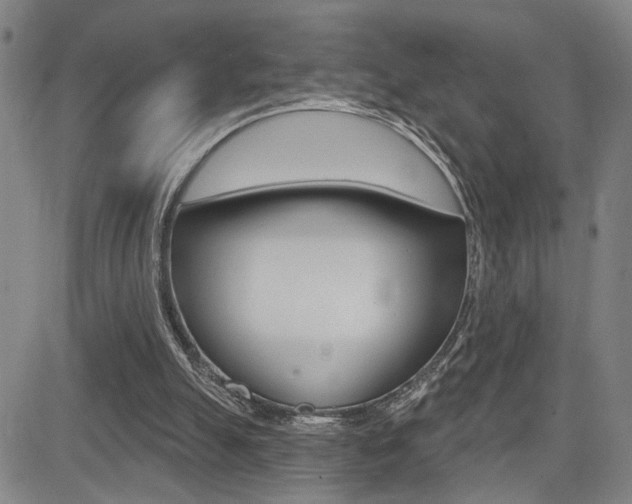 X0000085000055200703050946