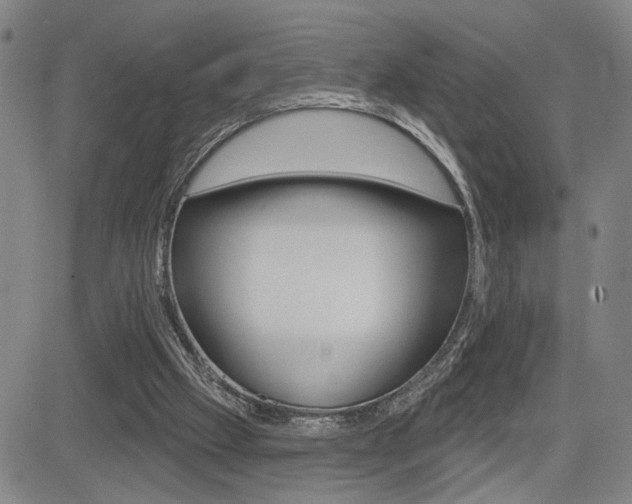 X0000085000057200703050946