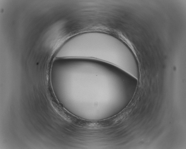 X0000085000059200703050946