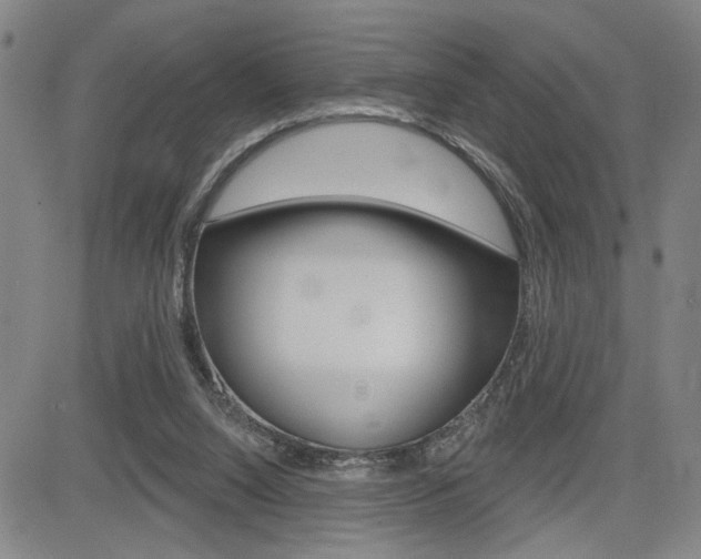 X0000085000064200703050946
