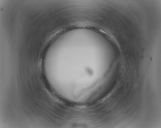 X0000085000066200703050946